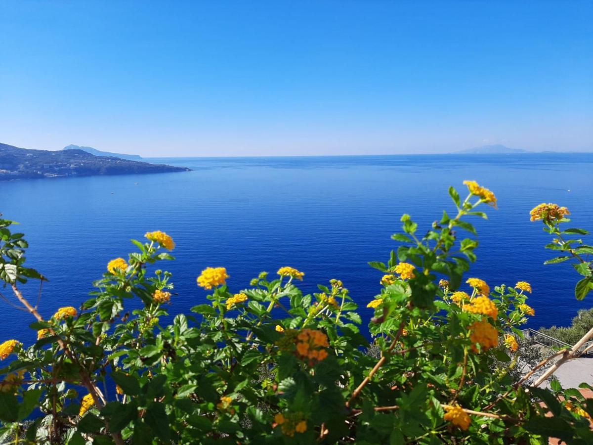 Bella Vista House-Sorrento Coast - Free Parking-Solarium Apartment วีโกเอเกวนเซ ภายนอก รูปภาพ