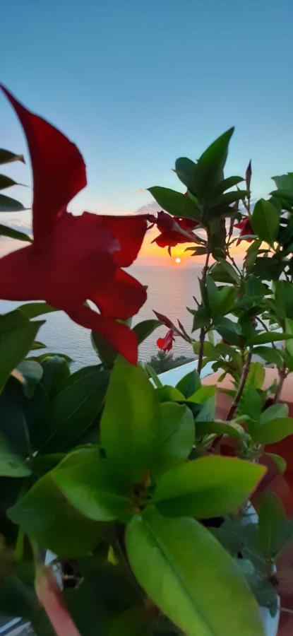 Bella Vista House-Sorrento Coast - Free Parking-Solarium Apartment วีโกเอเกวนเซ ภายนอก รูปภาพ